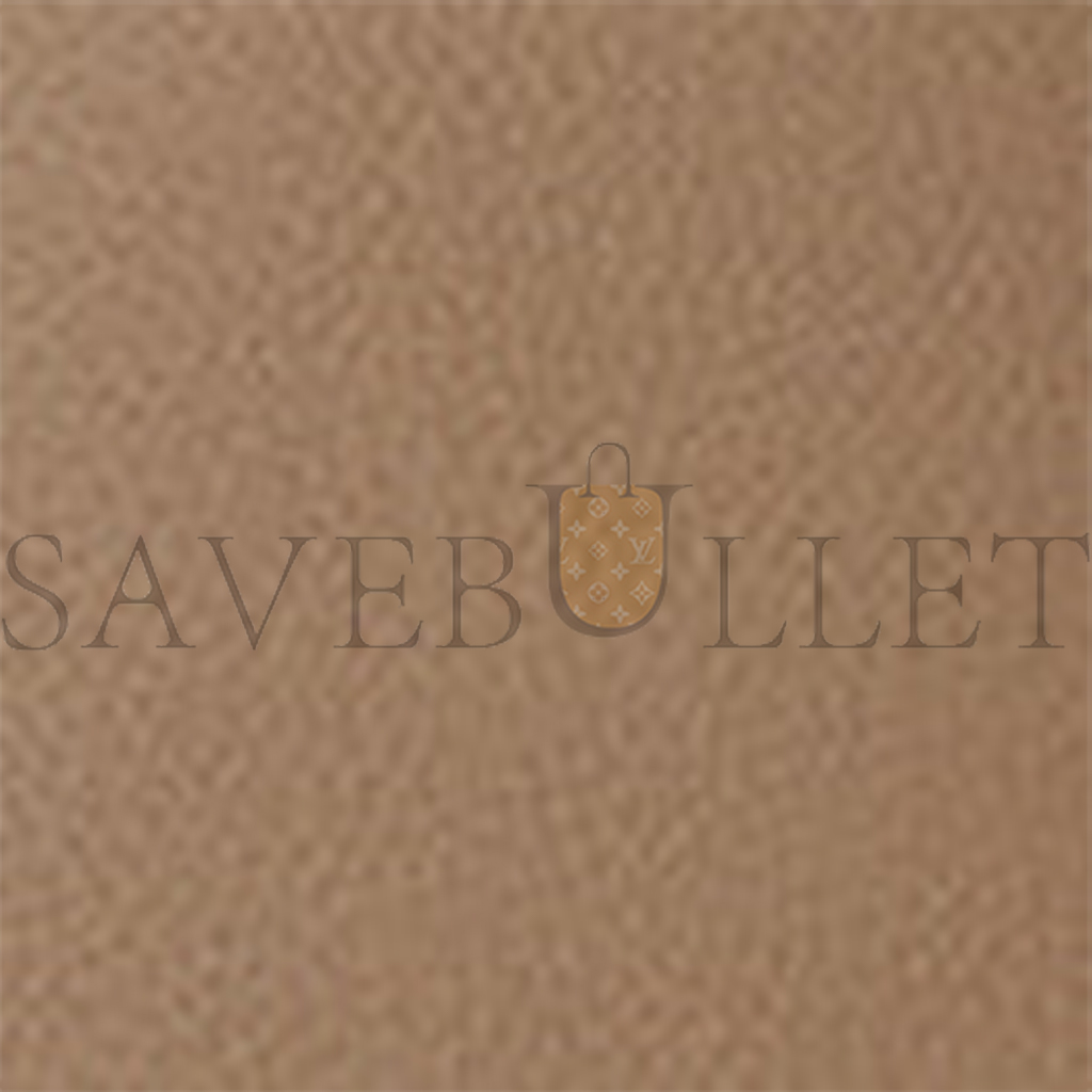 THE ROW MEDIUM NS PARK TOTE BAG IN LEATHER DARK TAUPE W1313L129DTPL (33*28*15cm)